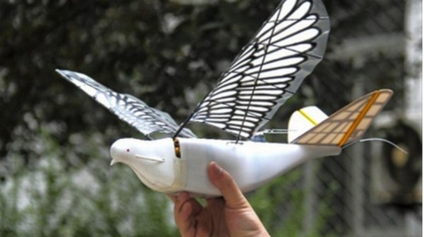 Власти Китая могут использовать дронов-голубей для слежки за гражданами