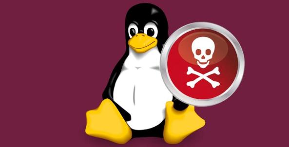 Неизвестный агрессивный червь атакует Linux-устройства