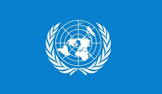 ООН случайно допустила утечку паролей и важных документов