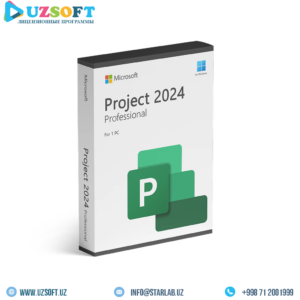 Microsoft Project Pro 2024