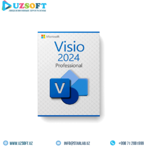 Microsoft Visio Pro 2024