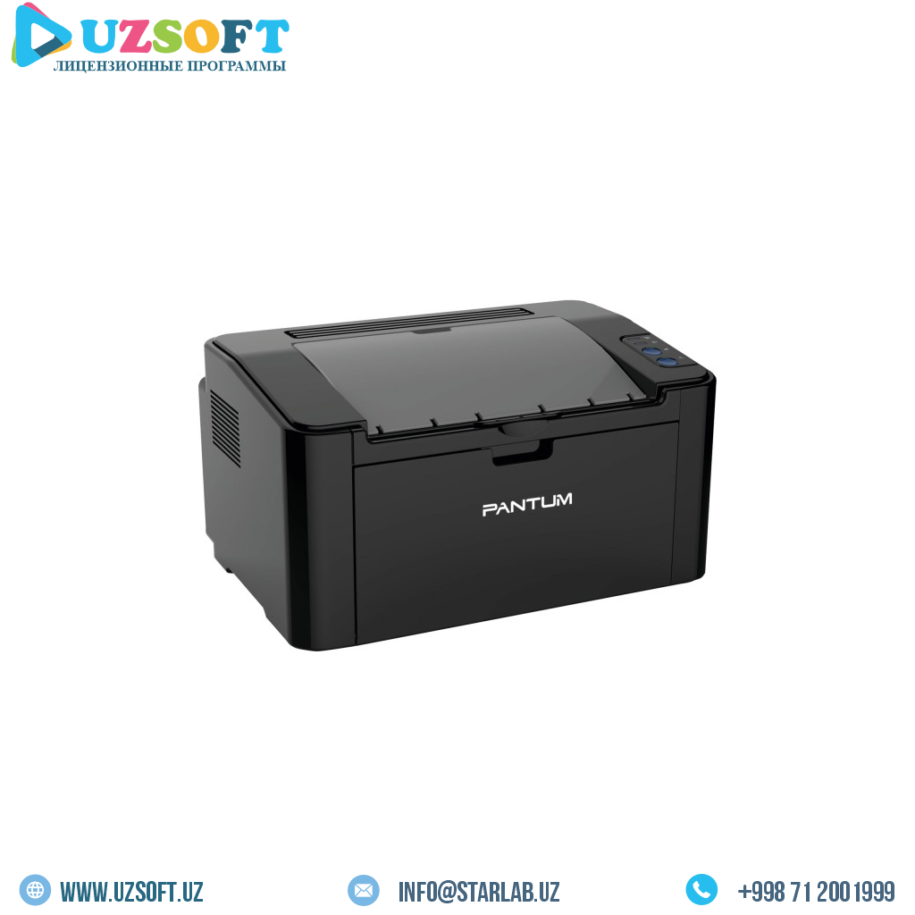 Pantum M2503W
